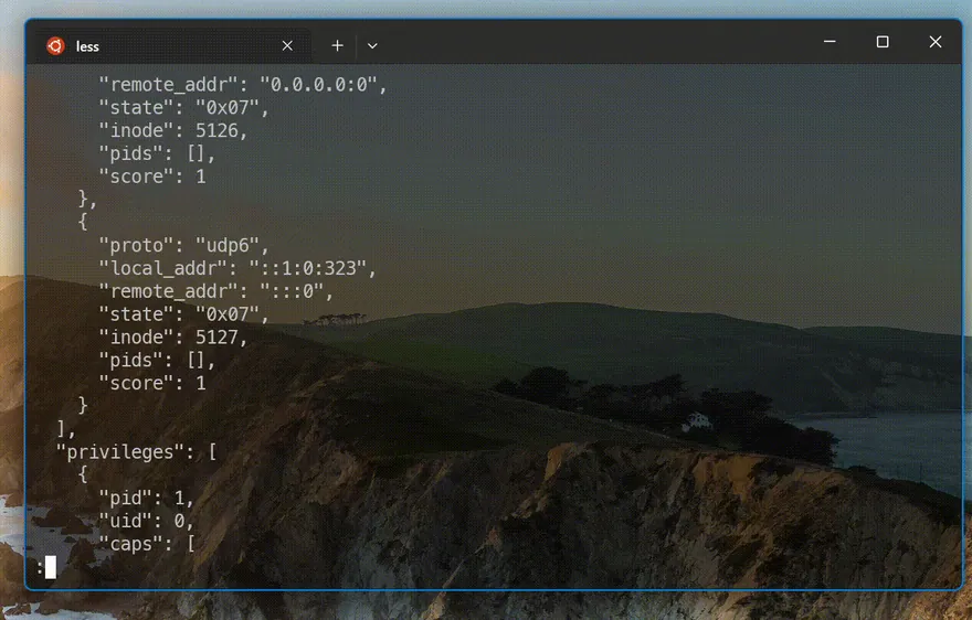 Terminal recording of the /proc scanner ranking processes